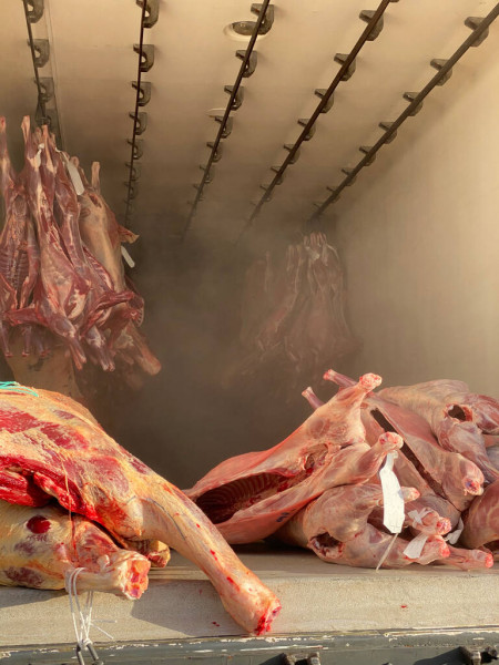 meat refrigerated truck loading