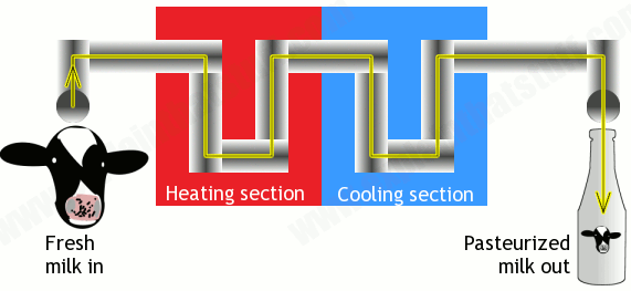 Pasteurization of milk