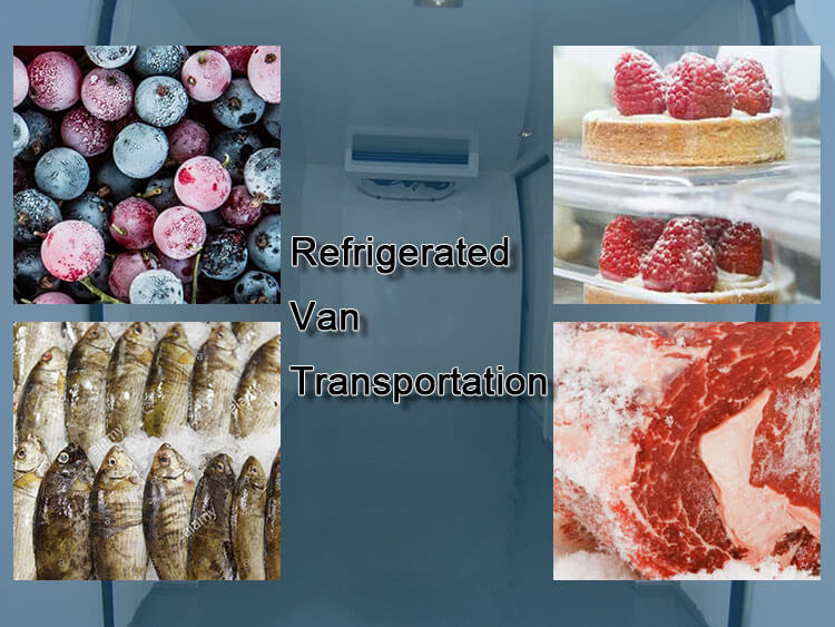 deep freeze refrigerated van transportation